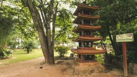 Foto demonstrativa de Jardim Japonês em Caldas Novas: Contato com a Natureza